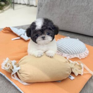 mimi